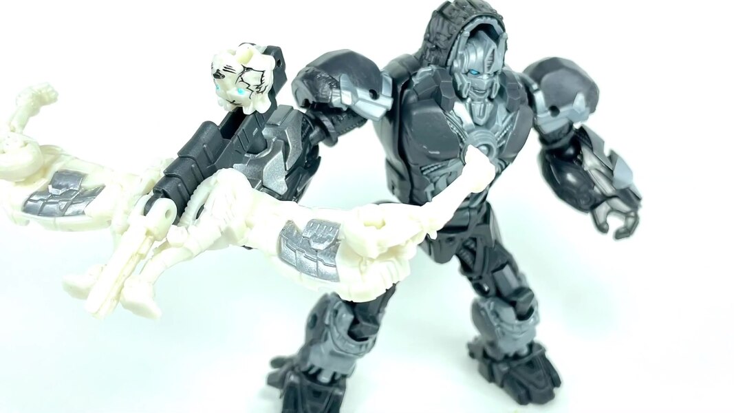 Transformers Rise Of The Beasts Optimus Prime, Optimus Primal,  Tigatron  (10 of 15)